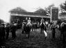 The-mounting-yard-at-Casterton-Racecourse-1914.jpg